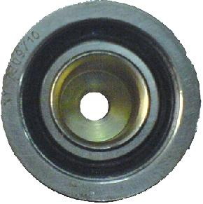 Ford Timing Belt Tensioner & Pulley