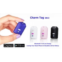 Charm Tag SB22 Charm Tag SB22