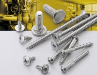 Stainless Steel Screw Stainless Steel Screw