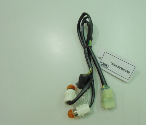 Car Lamp Wire Harness Assy
