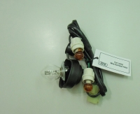 Car Lamp Wire Harness Assy