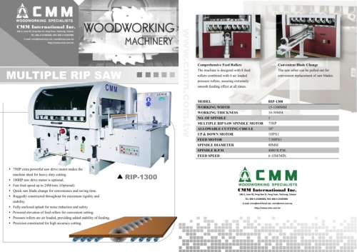 Multiple Rip Saw Multiple Rip Saw