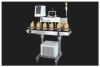 Induction Sealing Machine 