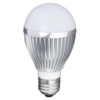 LED A60 Bulb
