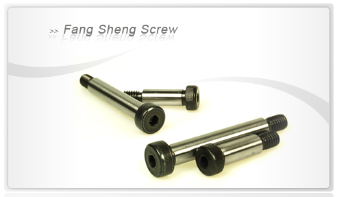 Hexagon Socket Head Shoulder Screws