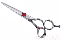 Professional Hair Salon Scissors