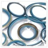 Rotating oil seals