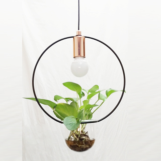 pendant lamp pendant lamp