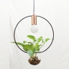 pendant lamp