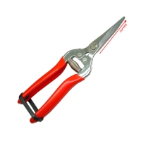 7.5” Curved Fruit Shears