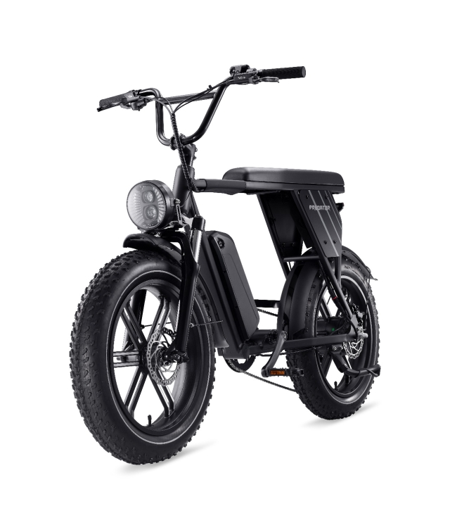 e-bike/scotter