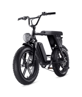 e-bike/scotter