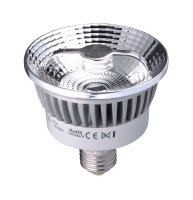 LED Reflector PAR30 LED Reflector PAR30