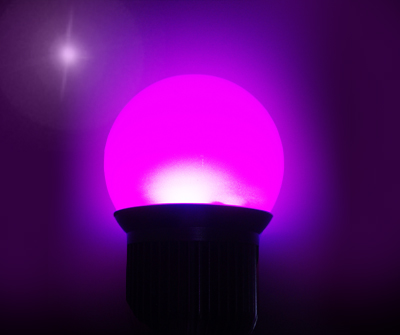 Plant Grown Light