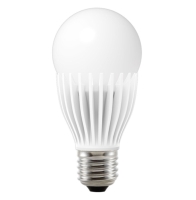 LED 12W Bulb