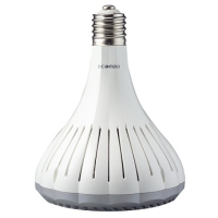 Eco LED 100瓦天井燈