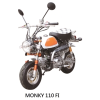 Motorbike (MONKEY)