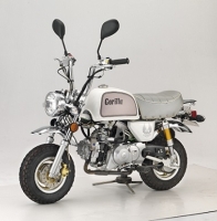 Motorbike (GORILLA)