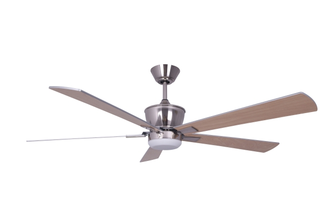 Ceiling Fan Ceiling Fan