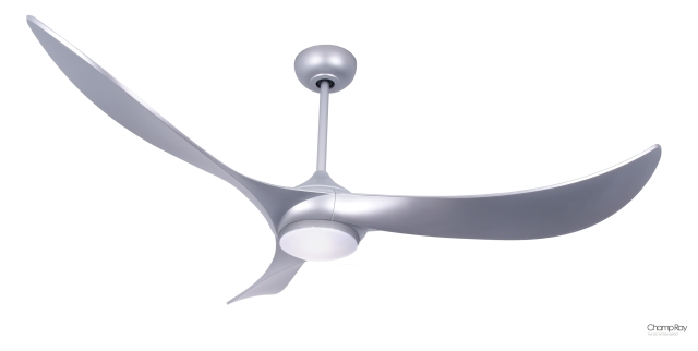 Ceiling Fan Ceiling Fan