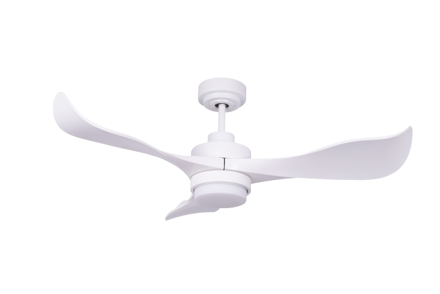 Ceiling Fan Ceiling Fan