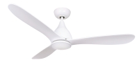 Ceiling Fan Ceiling Fan