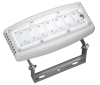 50W LED project light