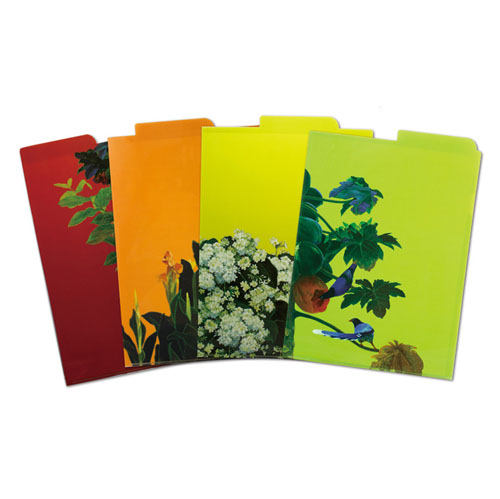 4 Different Colors A4 L Folder