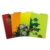 4 Different Colors A4 L Folder