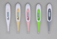 10” Rapid Digital Thermometer