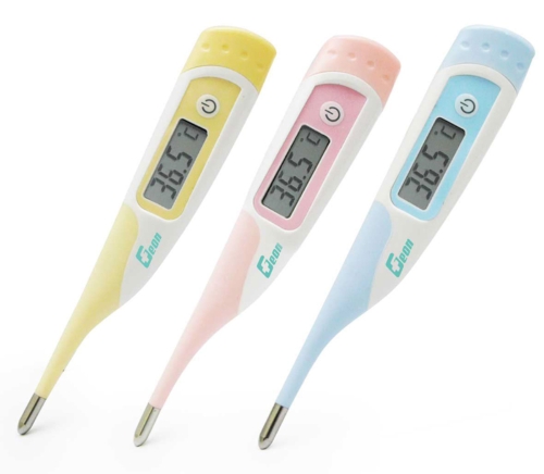 10” Rapid Digital Thermometer