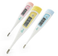 10” Rapid Digital Thermometer