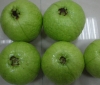 Guava