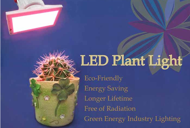 LED Plant Light
