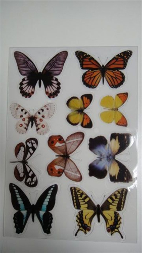 G1102B butterflies