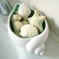 Shell series Shell series