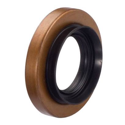 Oil Seals