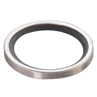 Oil Seals