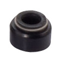 Valve Seal