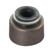 Valve Seal