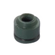Valve Seal
