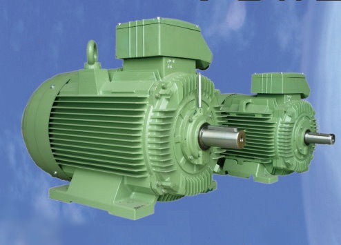 WRS IE2/IE3 High-efficiency motor