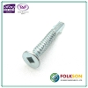 Self drilling screw