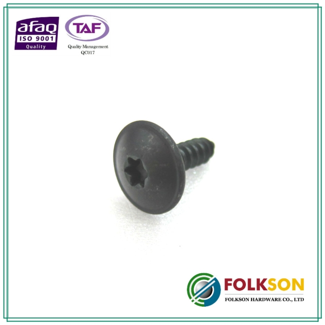 Self tapping bolt / screw