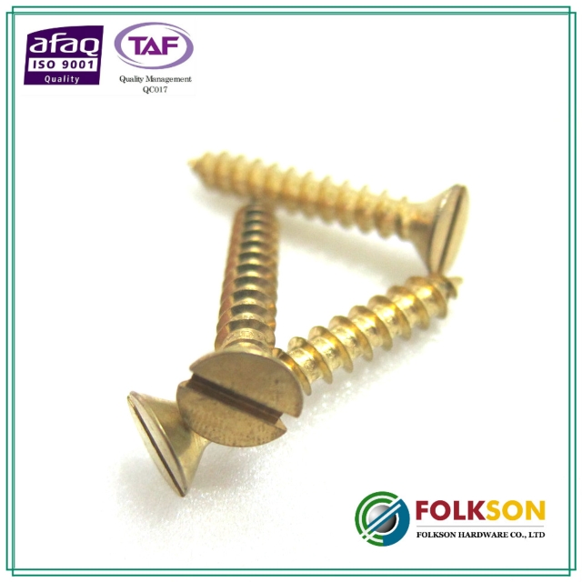 Self tapping bolt / screw