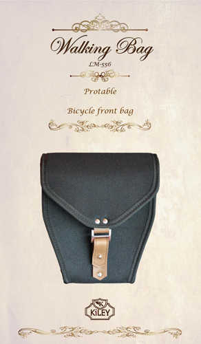 Bag in bicycle