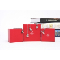 Pony series Pony series