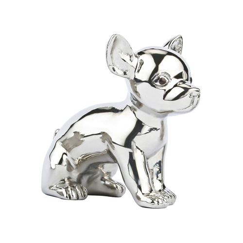 Chihuahua – the puppy series Chihuahua – the puppy series