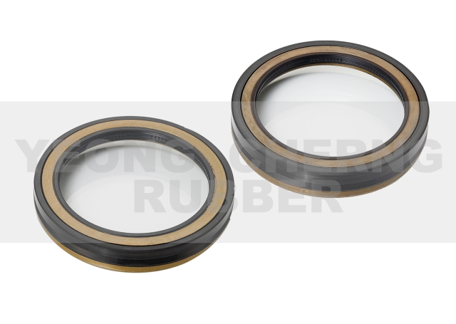 Oil Seal
