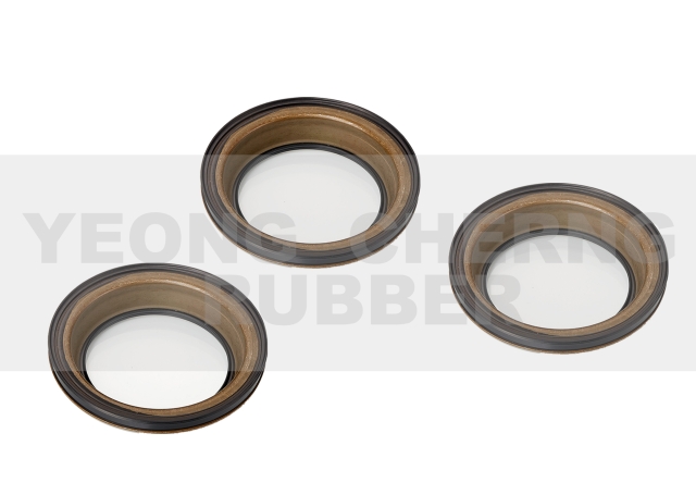 Oil Seal